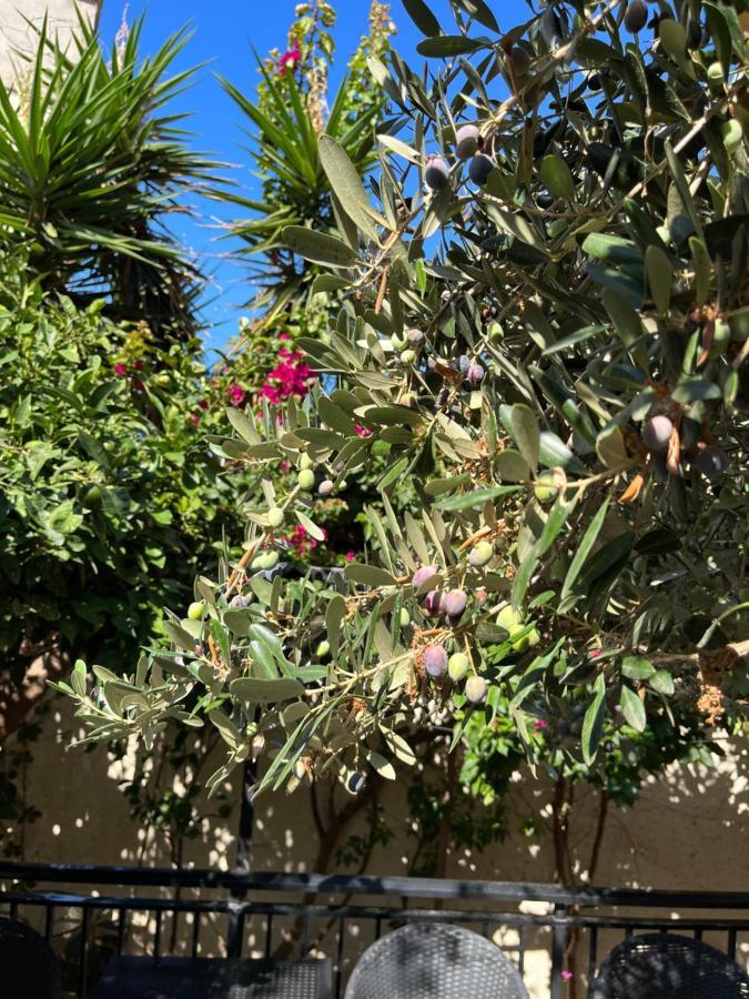 Candia Hotel Chania  Bagian luar foto
