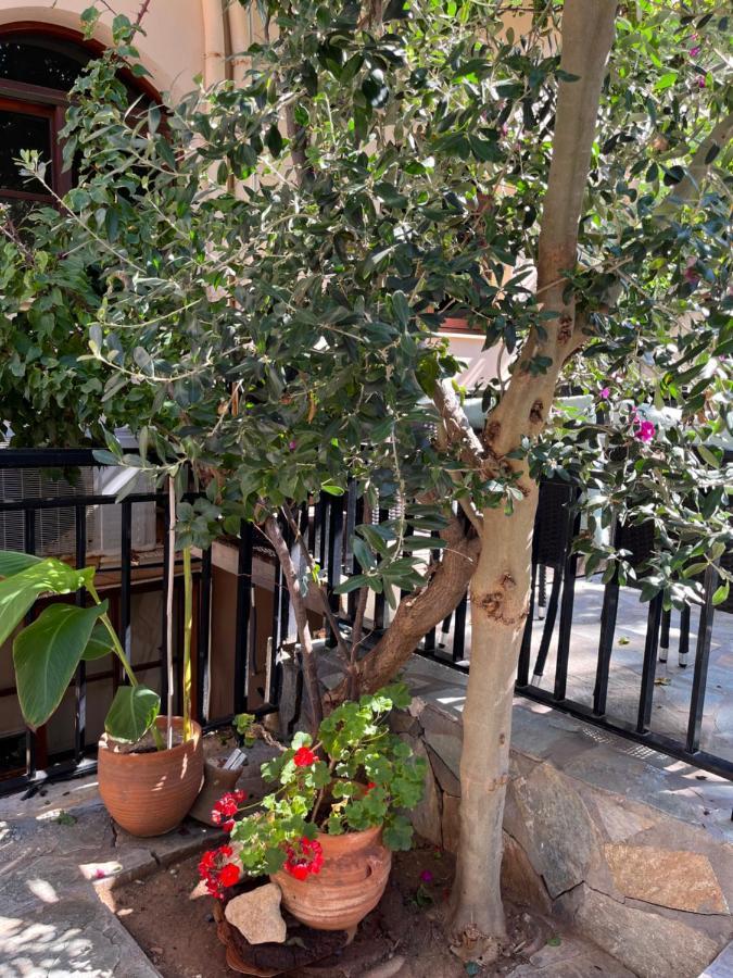 Candia Hotel Chania  Bagian luar foto